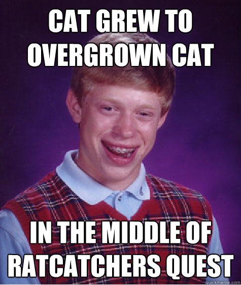 Cat grew to overgrown cat In the middle of ratcatchers quest  Bad Luck Brian