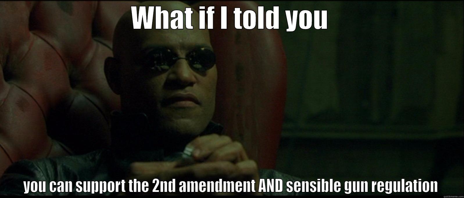 WHAT IF I TOLD YOU YOU CAN SUPPORT THE 2ND AMENDMENT AND SENSIBLE GUN REGULATION Misc