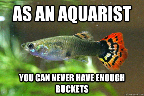 As an aquarist you can never have enough buckets  