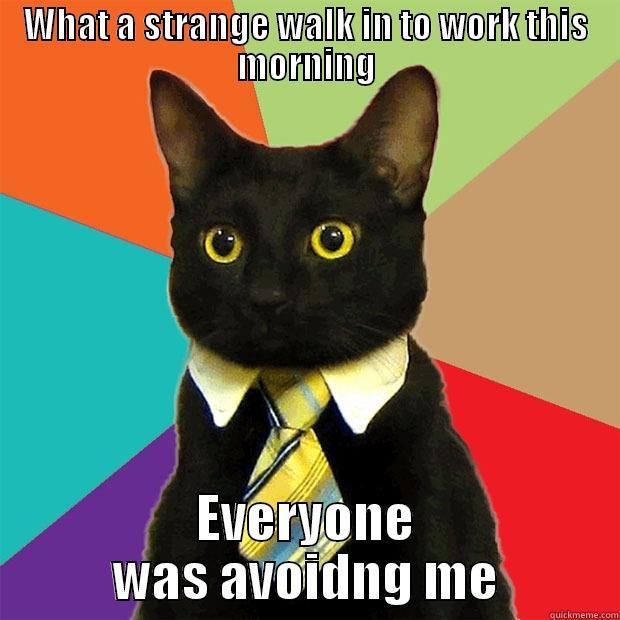 WHAT A STRANGE WALK IN TO WORK THIS MORNING EVERYONE WAS AVOIDNG ME Business Cat