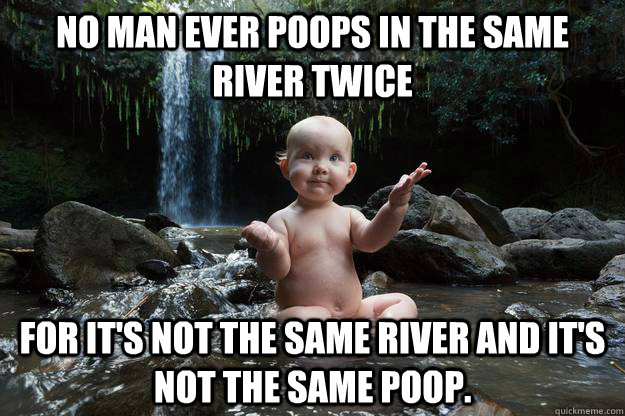 No man ever poops in the same river twice for it's not the same river and it's not the same poop.  Baby Buddha