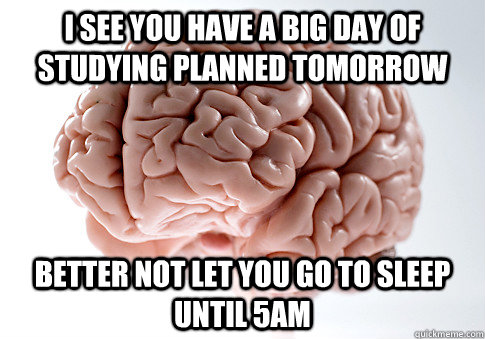 I see you have a big day of studying planned tomorrow Better not let you go to sleep until 5am  Scumbag Brain