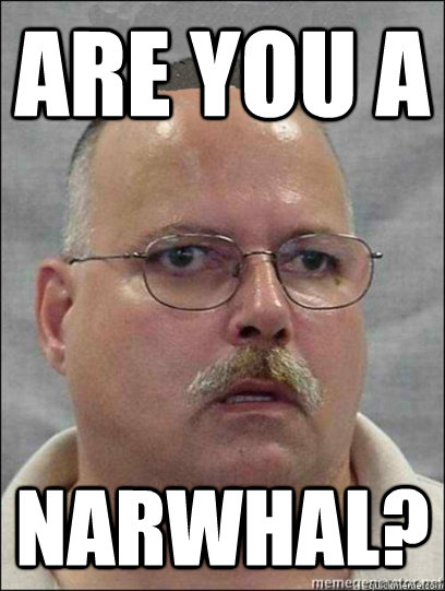 ARE you a  Narwhal?  Are you a wizard