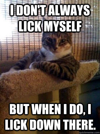 I don't always lick myself but when I do, i lick down there.  The Most Interesting Cat in the World