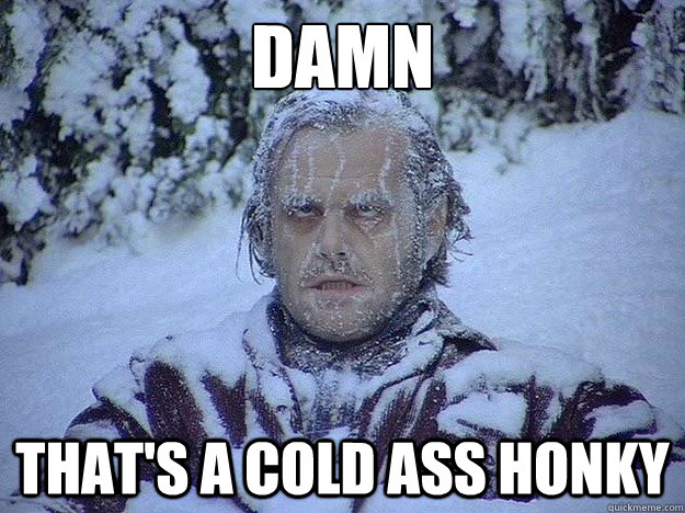Damn that's a cold ass honky - Damn that's a cold ass honky  cold ass honky