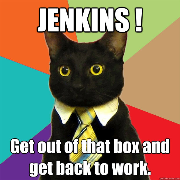 JENKINS ! Get out of that box and get back to work.  Business Cat