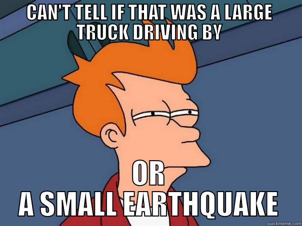 CAN'T TELL IF THAT WAS A LARGE TRUCK DRIVING BY OR A SMALL EARTHQUAKE Futurama Fry