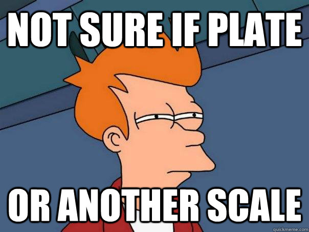 Not sure if plate Or another scale  Futurama Fry