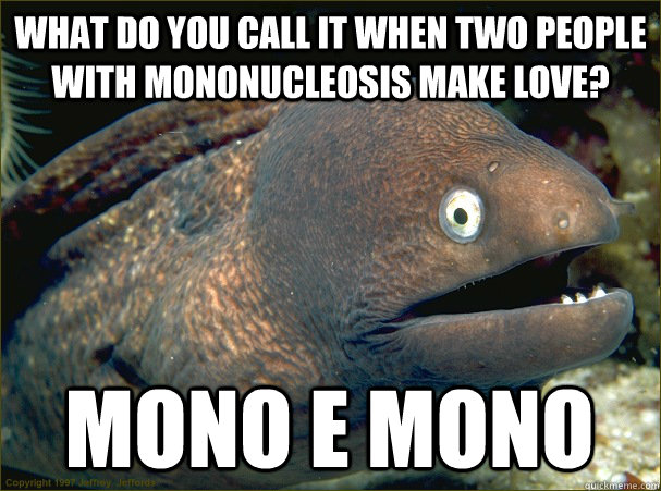 WHat do you call it when two people with mononucleosis make love? mono e mono  Bad Joke Eel
