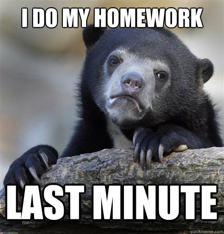 i do my homework last minute  Confession Bear