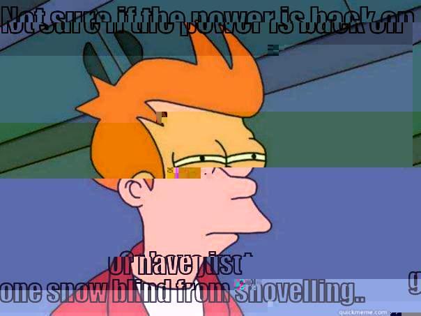 NOT SURE IF THE POWER IS BACK ON OR HAVE JUST GONE SNOW BLIND FROM SHOVELLING.. Futurama Fry