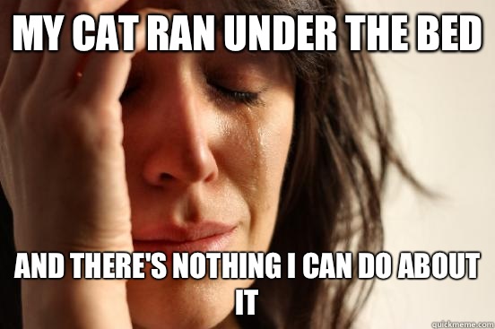 My cat ran under the bed And there's nothing I can do about it  First World Problems