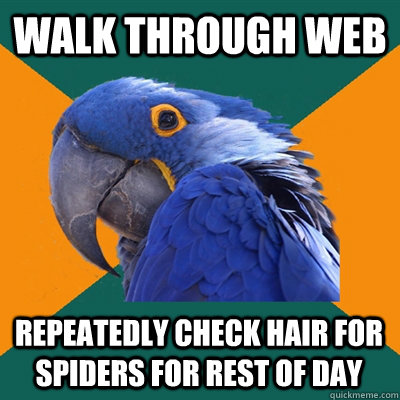 WALK THROUGH WEB REPEATEDLY CHECK HAIR FOR SPIDERS FOR REST OF DAY  Paranoid Parrot