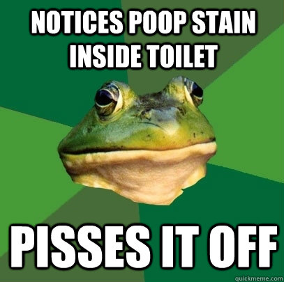 notices poop stain inside toilet pisses it off  Foul Bachelor Frog