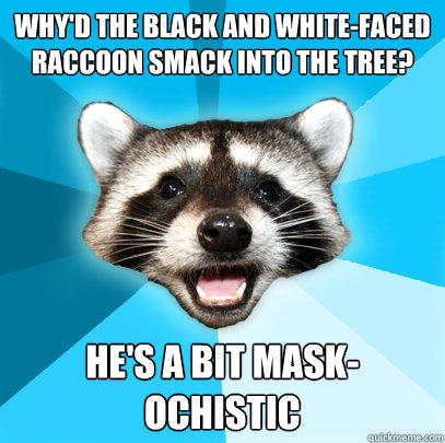 WHY'D THE BLACK AND WHITE-FACED RACCOON SMACK INTO THE TREE? HE'S A BIT MASK-OCHISTIC  Lame Pun Coon