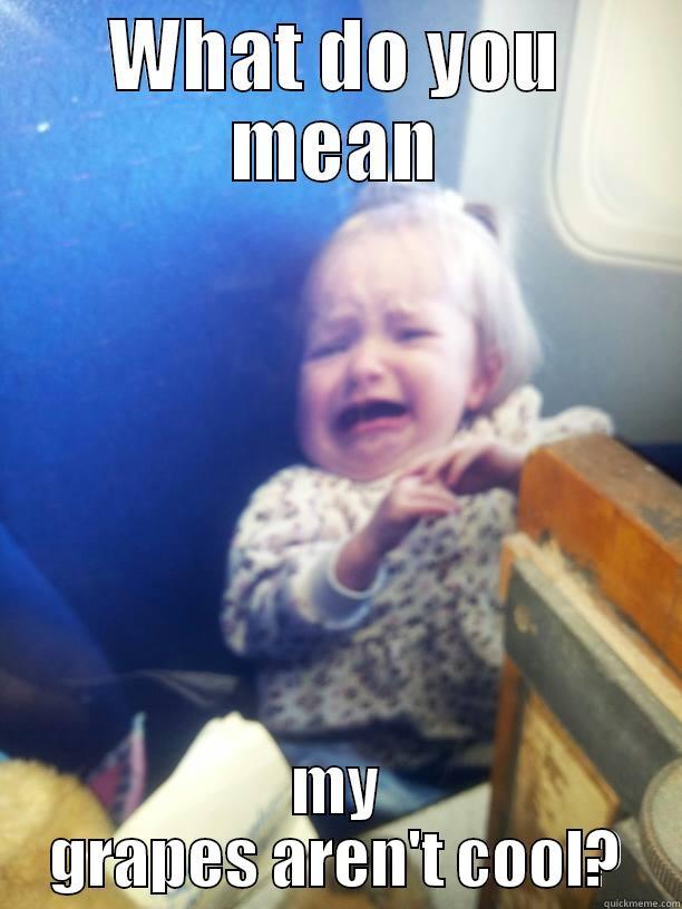 WHAT DO YOU MEAN MY GRAPES AREN'T COOL? Misc