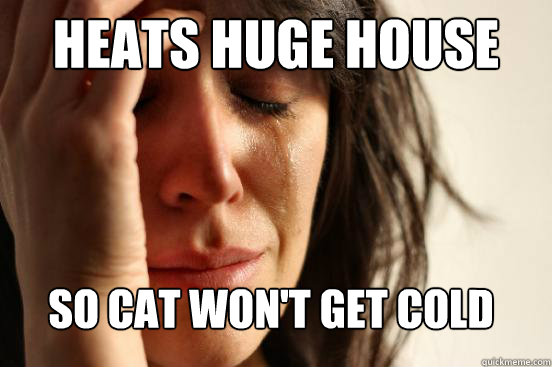 heats huge house so cat won't get cold  First World Problems