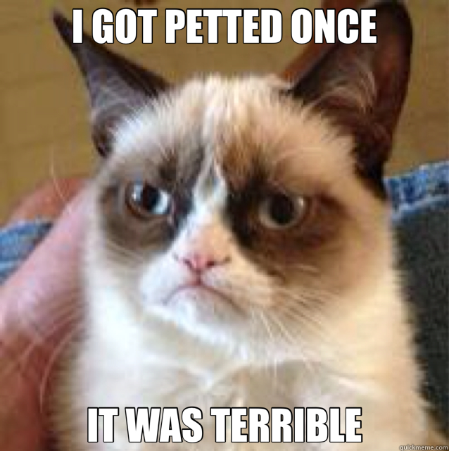 I GOT PETTED ONCE IT WAS TERRIBLE - I GOT PETTED ONCE IT WAS TERRIBLE  Misc