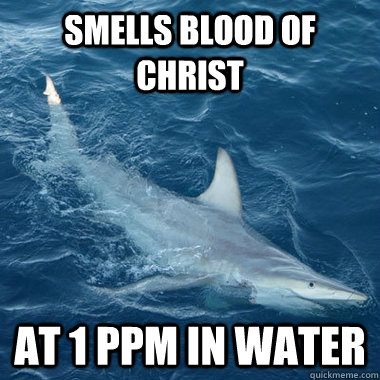 SMELLS BLOOD OF CHRIST AT 1 PPM IN WATER  