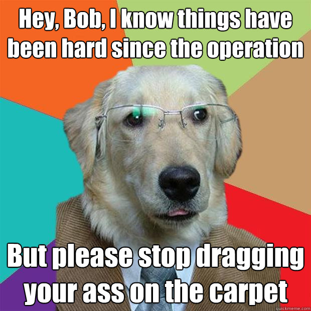 Hey, Bob, I know things have been hard since the operation But please stop dragging your ass on the carpet - Hey, Bob, I know things have been hard since the operation But please stop dragging your ass on the carpet  Business Dog