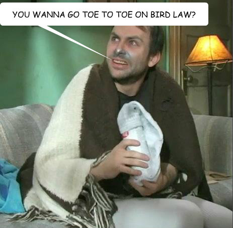 YOU WANNA GO TOE TO TOE ON BIRD LAW?  Charlie Kelly