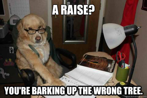 A raise? You're barking up the wrong tree.  