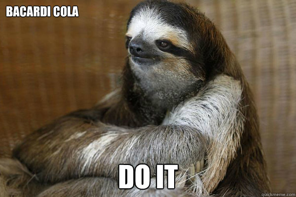 Bacardi Cola DO IT  Disappointed Sloth