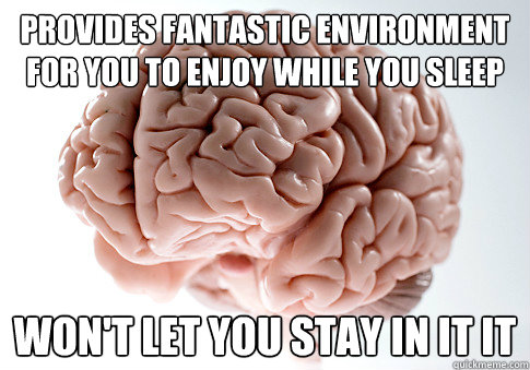 Provides fantastic environment for you to enjoy while you sleep won't let you stay in it it  Scumbag Brain