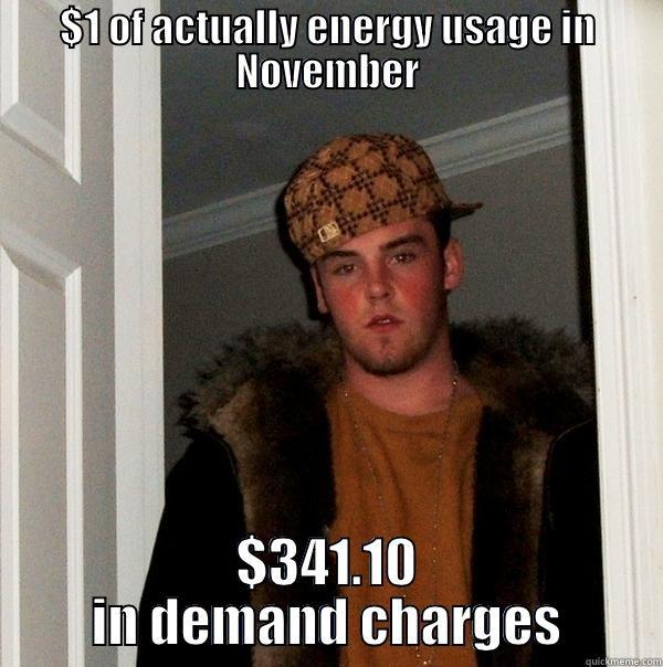 $1 OF ACTUALLY ENERGY USAGE IN NOVEMBER $341.10 IN DEMAND CHARGES Scumbag Steve