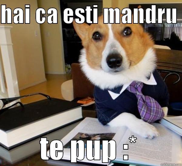 ooo iau uiteeee - HAI CA ESTI MANDRU  TE PUP :* Lawyer Dog