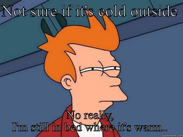 NOT SURE IF IT'S COLD OUTSIDE  NO REALLY, I'M STILL IN BED WHERE IT'S WARM.. Futurama Fry