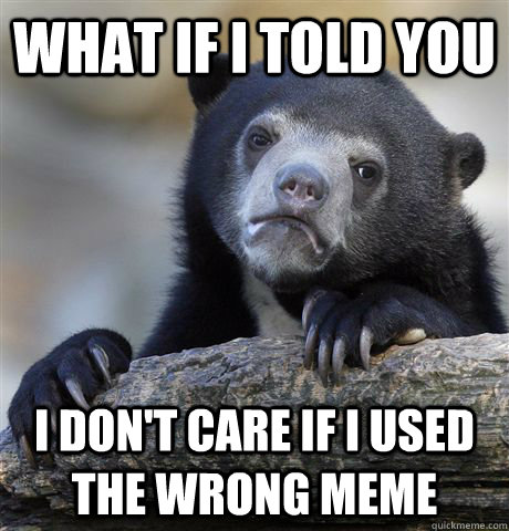 What IF i TOLD YOU i DON'T CARE IF i USED THE WRONG MEME  Confession Bear