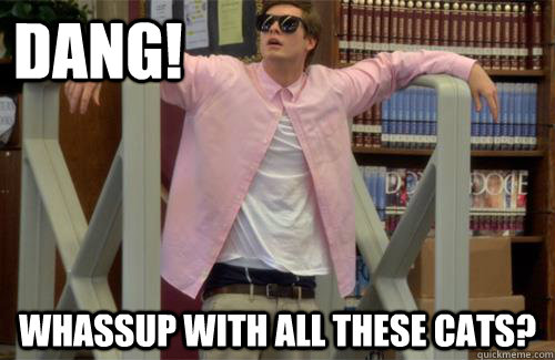 DANG! Whassup with all these cats?  