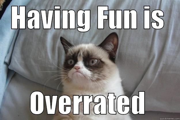 No Fun - HAVING FUN IS OVERRATED Grumpy Cat