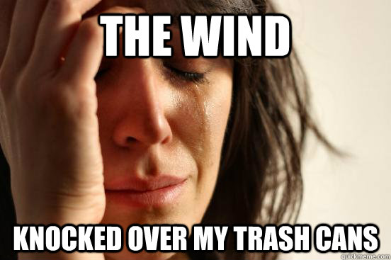 THE WIND knocked over my trash cans  First World Problems