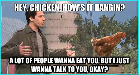 Hey, chicken. How's it hangin? A lot of people wanna eat you, but I just wanna talk to you, okay?  