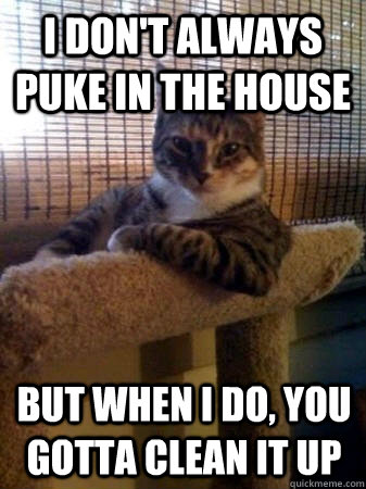 I don't always puke in the house But when i do, you gotta clean it up  The Most Interesting Cat in the World