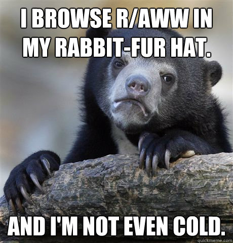 I browse r/aww in my rabbit-fur hat. and I'm not even cold.   Confession Bear