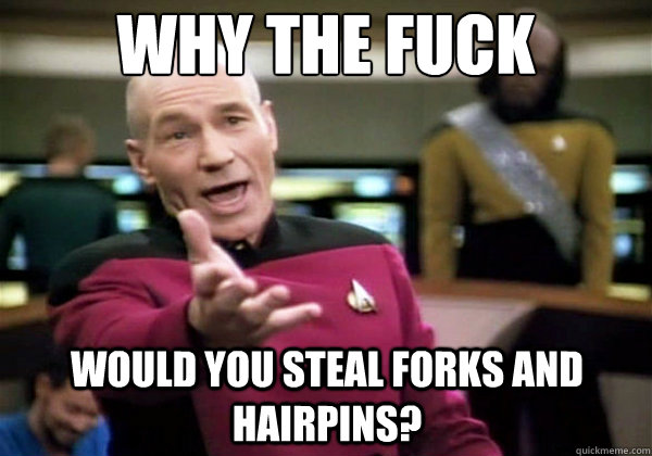Why the fuck would you steal forks and hairpins? - Why the fuck would you steal forks and hairpins?  Why The Fuck Picard