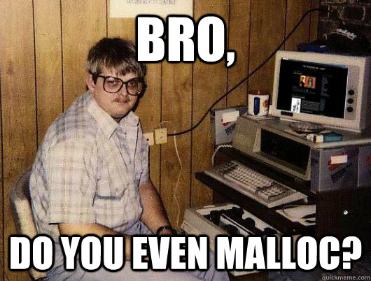 bro, do you even malloc?  