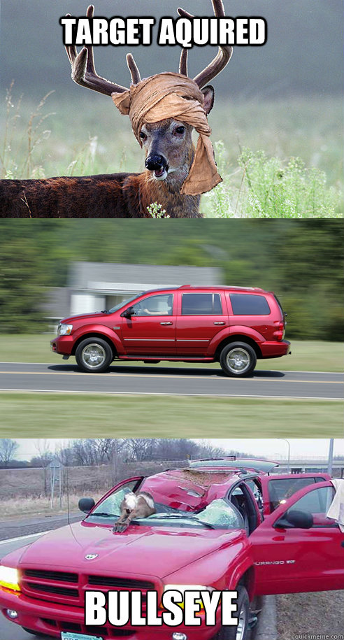 target aquired Bullseye  - target aquired Bullseye   Extremist Deer