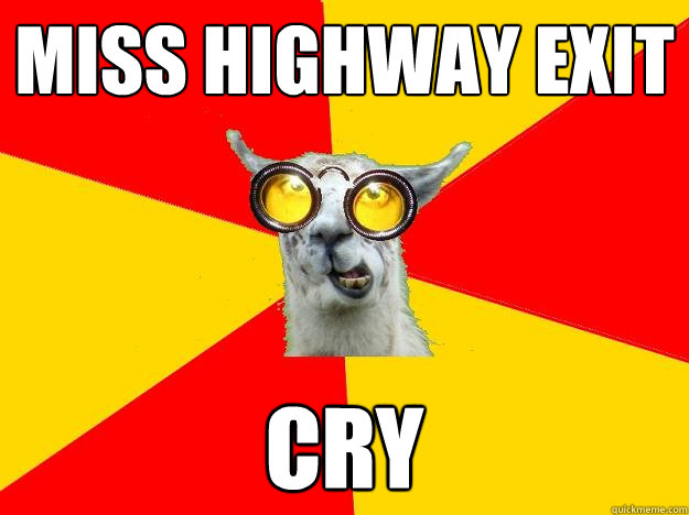 Miss Highway exit cry  Learner Driver Llama