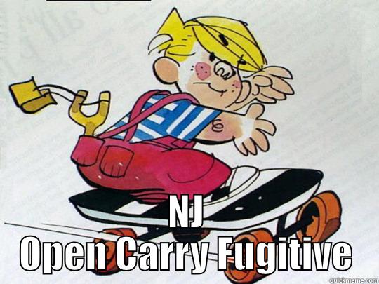  NJ OPEN CARRY FUGITIVE Misc