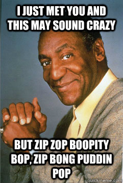 I just met you and this may sound crazy but zip zop boopity bop, zip bong puddin pop   