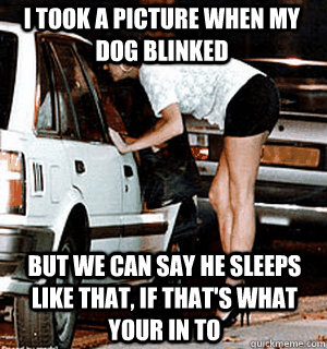 i took a picture when my dog blinked But we can say he sleeps like that, if that's what your in to  Karma Whore