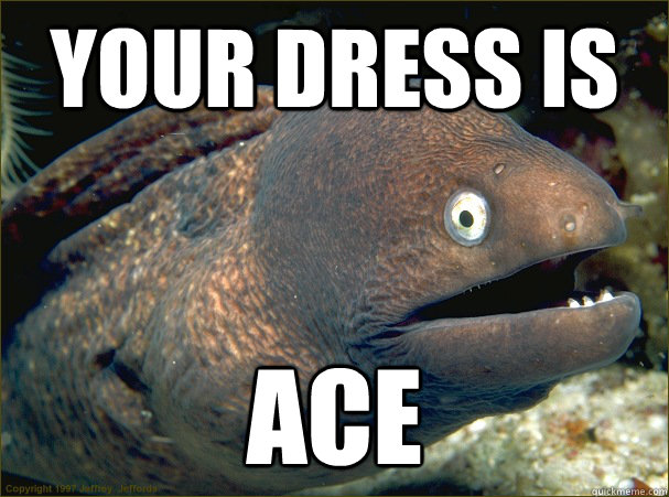YOUR DRESS IS ACE  Bad Joke Eel
