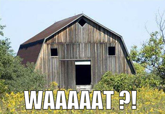  WAAAAAT ?! Misc