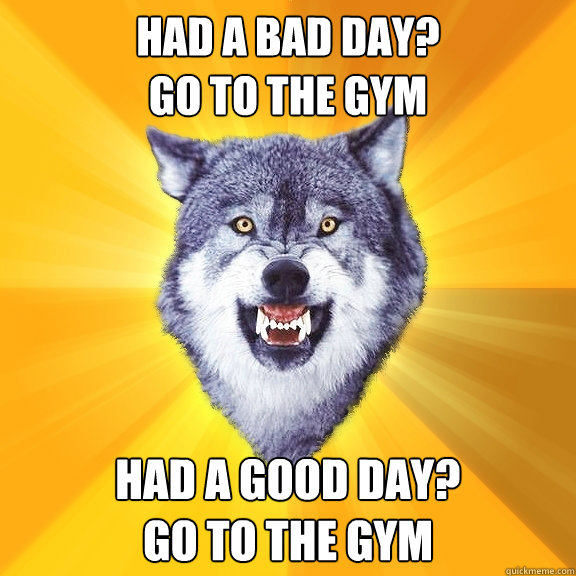 had a Bad day? 
go to the gym had a good day? 
go to the gym - had a Bad day? 
go to the gym had a good day? 
go to the gym  Courage Wolf