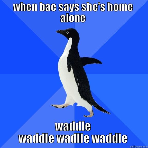 WHEN BAE SAYS SHE'S HOME ALONE WADDLE WADDLE WADLLE WADDLE Socially Awkward Penguin