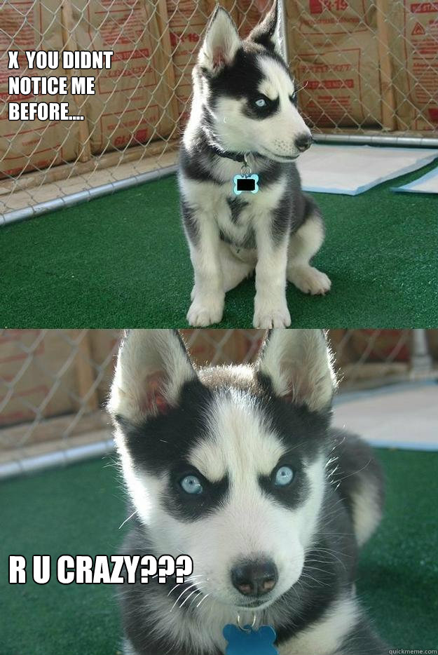 X  YOU DIDNT 
NOTICE ME
BEFORE.... R U CRAZY???  Insanity puppy